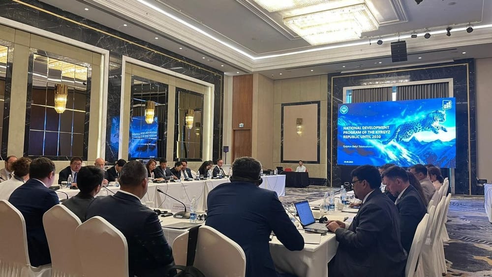 Минэконом представил Нацпрограмму развития КР до 2030 года на заседании DPCC изображение публикации