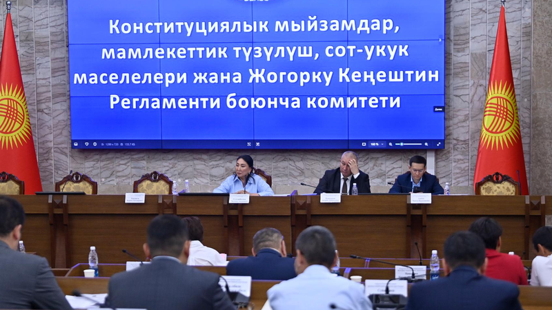 Заседание профильного комитета Жогорку Кенеша. Фото: kenesh.kg.