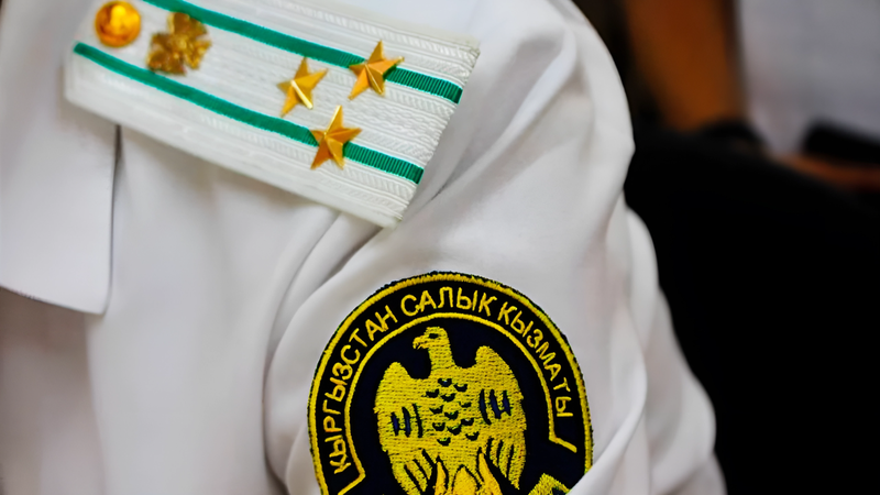 Обещает льготы, но прощать серые схемы не будет — Налоговая обратилась к бизнесу КР изображение публикации